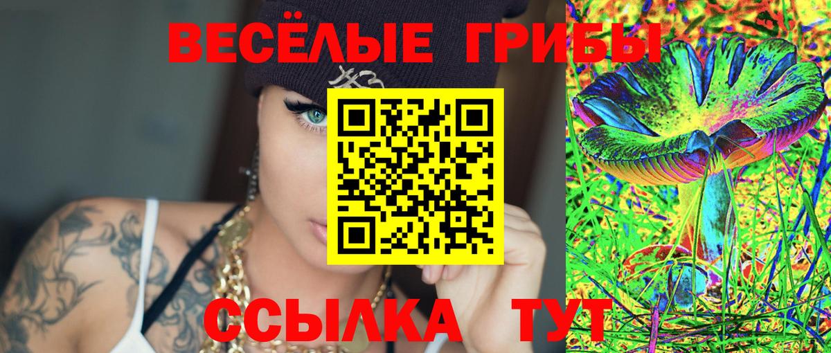 Галлюциногенные грибы мухоморы  Вход с VPN  Моздок 